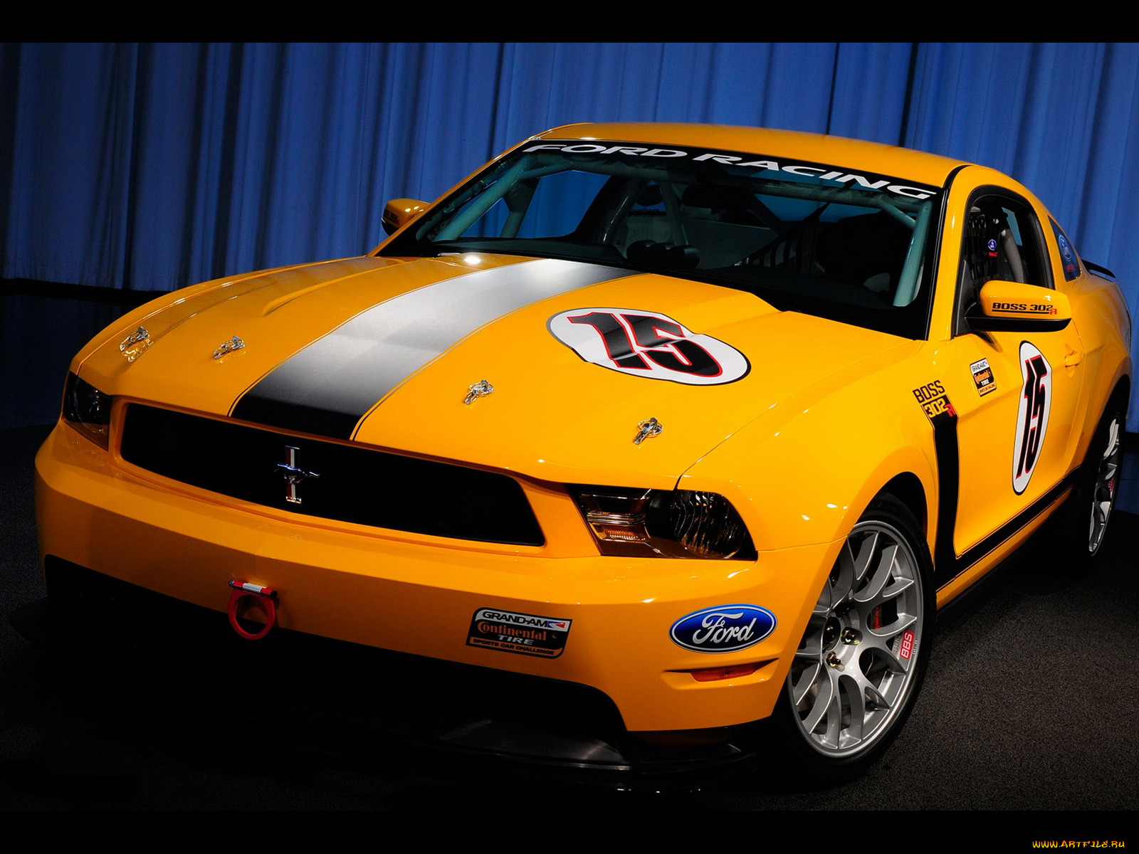 , mustang